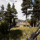 Illustration for article titled Tips For Playing Far Cry 5
